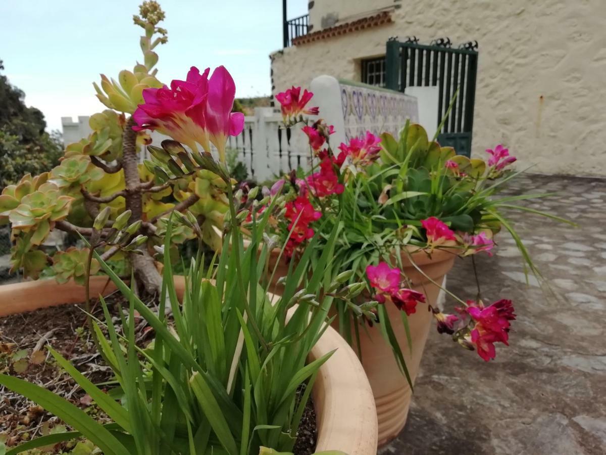 סנטה קרוס דה לה פלמה Grosse Finca 19Jh, Pool, Terrasse, Nahe Santa Cruz מראה חיצוני תמונה
