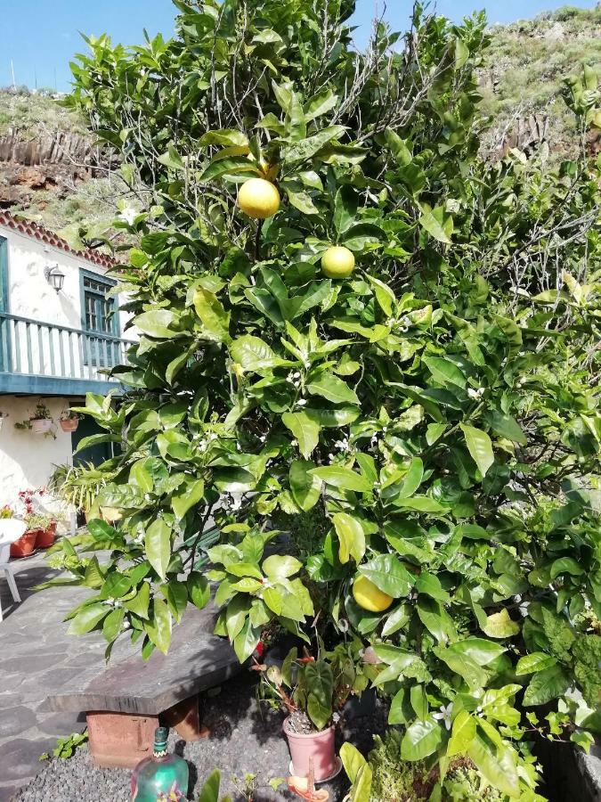 סנטה קרוס דה לה פלמה Grosse Finca 19Jh, Pool, Terrasse, Nahe Santa Cruz מראה חיצוני תמונה
